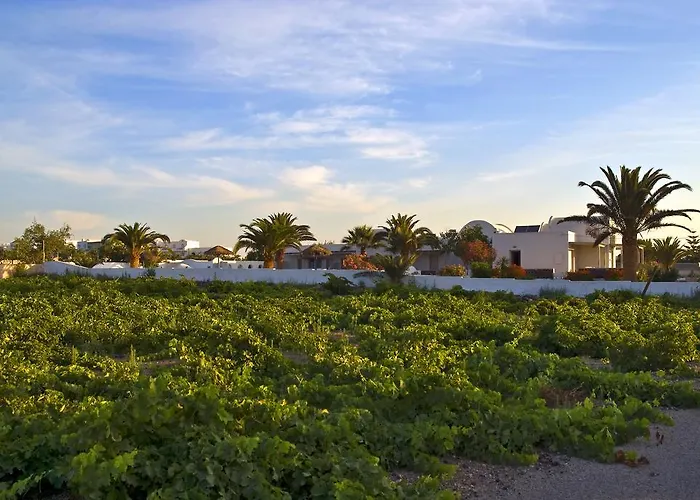 Alafouzos Studios Kamári